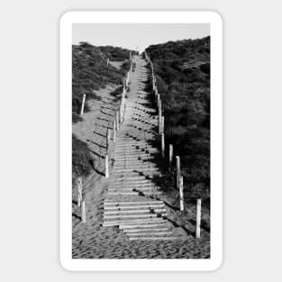 Beach Staircase in Lincoln Park, San Francisco Sticker